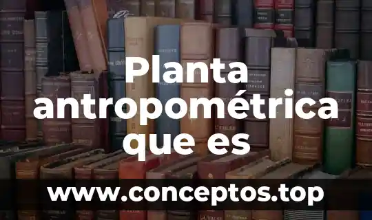 Planta antropométrica que es