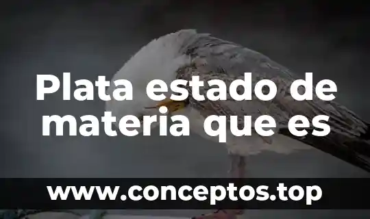 Plata estado de materia que es