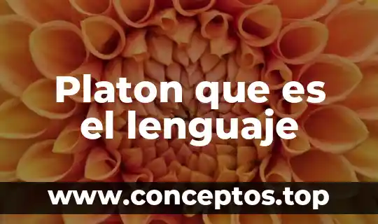 Platon que es el lenguaje