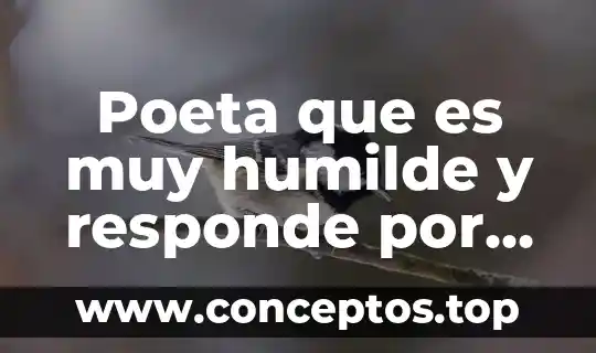 Qué es un nombre del ámbito en redes 5 Poeta que es muy humilde y responde por redes sociales
