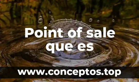 Point of sale que es