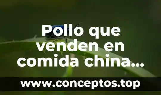 Pollo que venden en comida china que es