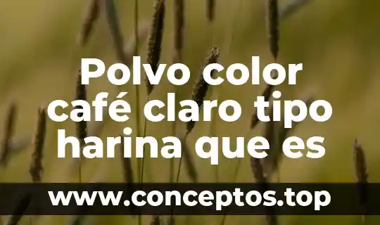 Polvo color café claro tipo harina que es