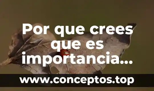 Por que es importante tener agua 3 Por que crees que es importancia tener debates politicos