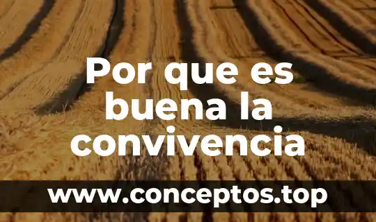 Que es justicia como base para la convivencia 4 Por que es buena la convivencia