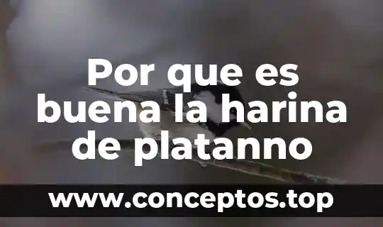 Por que es buena la harina de platanno