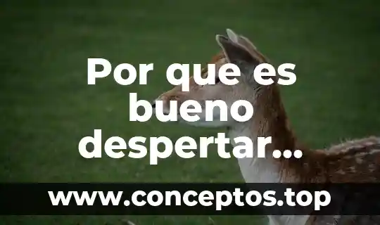 Que es bueno para la cistitis en el embarazo 3 Por que es bueno despertar contenta