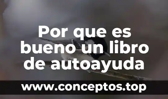 Por que es bueno un libro de autoayuda