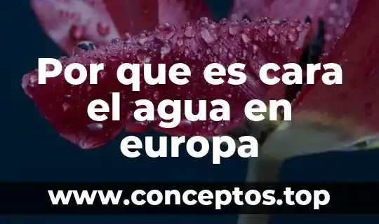 Por que es cara el agua en europa
