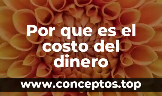Por que es el costo del dinero
