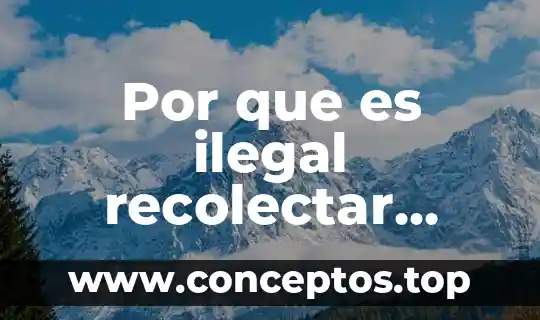Por que es ilegal recolectar agua de lluvia