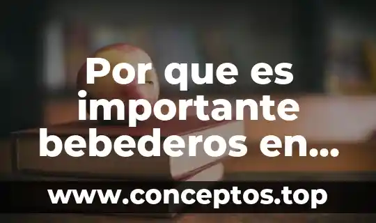 Qué es la filosofía de la escuela 5 Por que es importante bebederos en una escuela