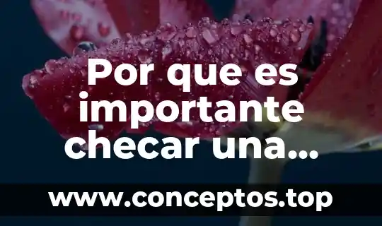 Por que es importante checar una férula