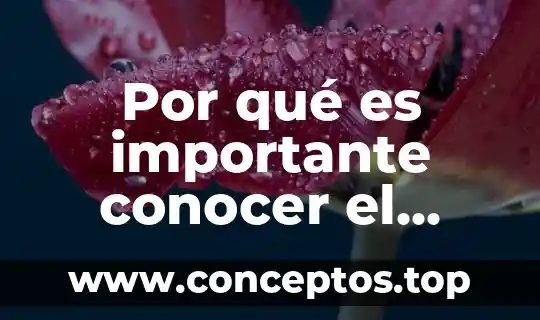 Por qué es importante conocer el turismo
