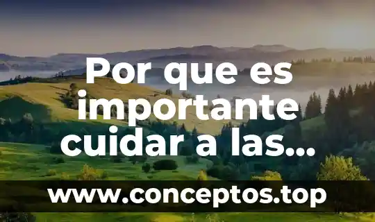 Por que es importante cuidar a las plantas