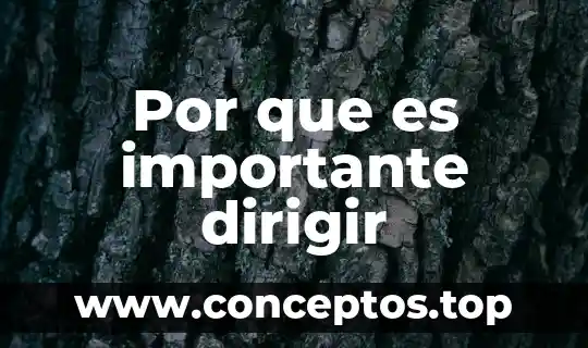 Por que es importante dirigir