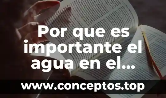 Que es la justificación de texto 5 Por que es importante el agua en el desarrollo sostenible