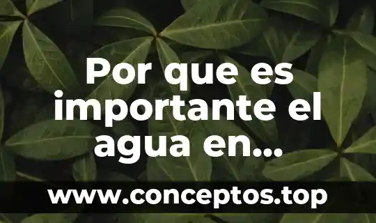 Por que es importante el agua en nuestra alimentacion