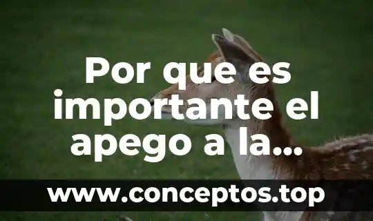 Por que es importante el apego a la cons
