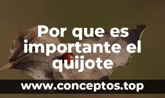Que es ser un quijote 3 Por que es importante el quijote