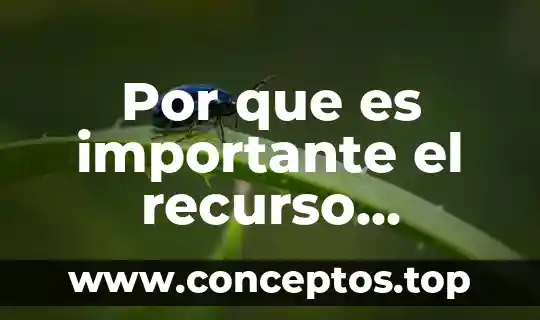 Por que es importante el recurso humano en una empresa