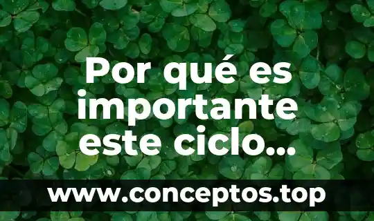 Por qué es importante este ciclo fosforo