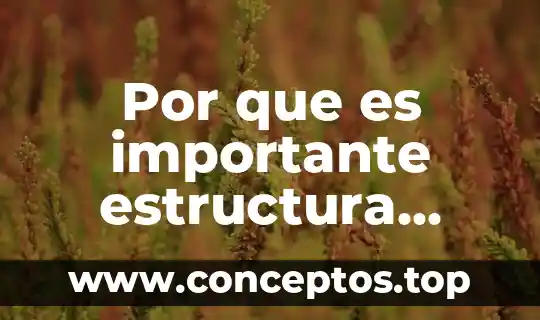Por que es importante estructura agencia publicitaria