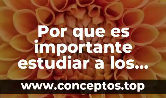 Por que es importante estudiar a los mamiferos