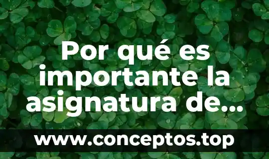Por qué es importante la asignatura de español en primaria