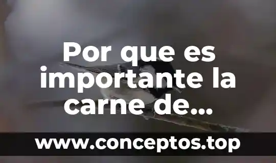 Que es carne molida en ingles 5 Por que es importante la carne de bovino