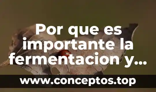 Por que es importante la fermentacion y ventajas