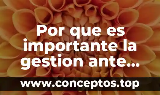 Por que es importante la gestion ante instancias gubernamentales
