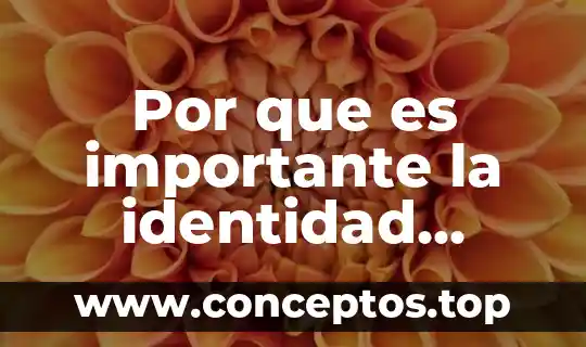 Por que es importante la identidad corporativa autores