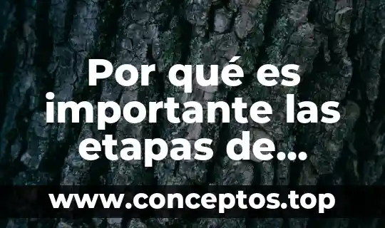 Por qué es importante las etapas de administración de proyectos
