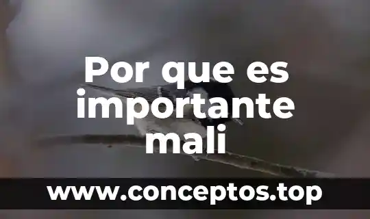Por que es importante mali