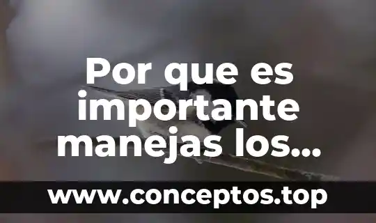 Por que es importante manejas los terminos eticos