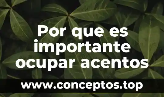 Por que es importante ocupar acentos