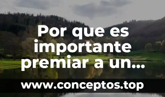 Por que es importante rediseñar 7 Por que es importante premiar a un perro