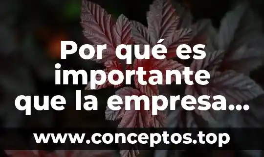 Pr que es importante analizar muestras simples de suelo 7 Por qué es importante que la empresa genere utilidades