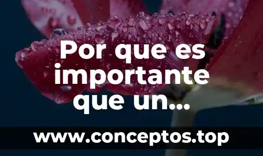 Por que es importante que un fisioterapeuta estudie ortopedia