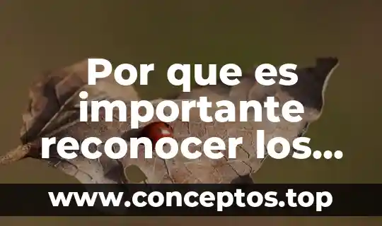 Por que es importante reconocer los tipos de texto