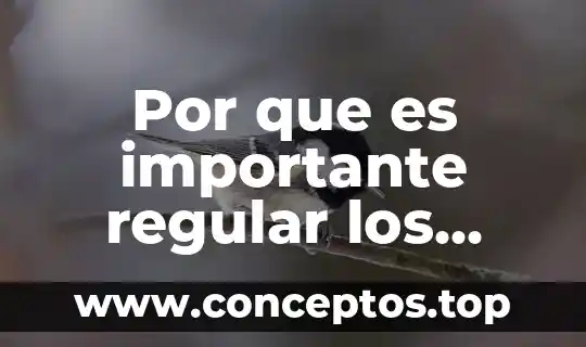 Por que es importante regular los actos de comercio