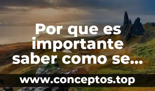 Por que es importante saber del metabolismo humano yahoo 5 Por que es importante saber como se crea una empresa