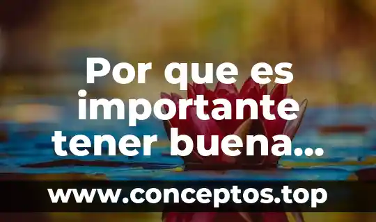 Por que es importante tener agua 5 Por que es importante tener buena vision