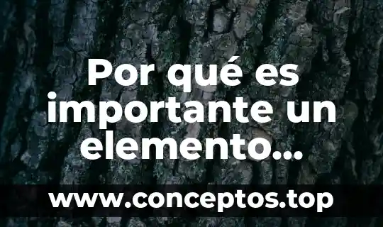 Qué es el dióxido de carbono elemento o compuesto 8 Por qué es importante un elemento químico