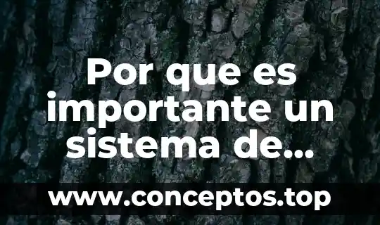 Por que es importante un sistema de vigilancia y monitoreo