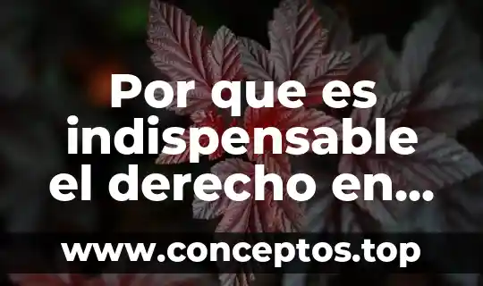 Por que es indispensable el derecho en mi comunidad