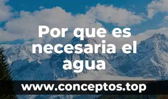 Por que es necesaria el agua