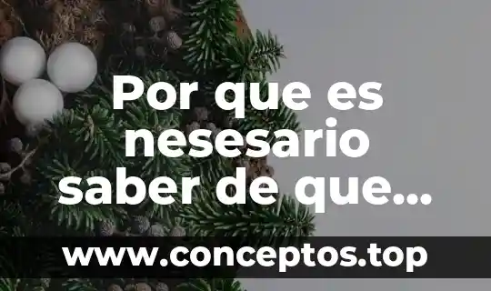 Cómo saber que es la original semilla de brasil 4 Por que es nesesario saber de que trata una ficha