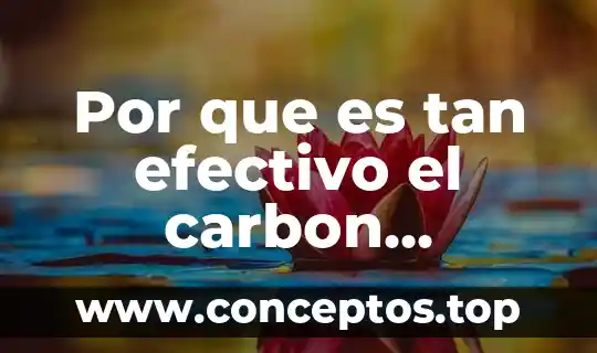 Por que es tan efectivo el carbon activado
